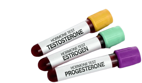 Hormone Panel Test